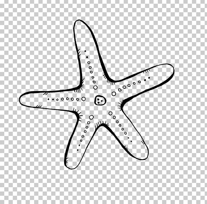 Starfish Digital PNG, Clipart, Angle, Animals, Black And White, Blog, Body Jewelry Free PNG Download
