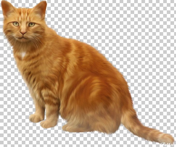 Tabby Cat Kitten PNG, Clipart, Animals, Animation, Asian, Asian Semi Longhair, Black Cat Free PNG Download