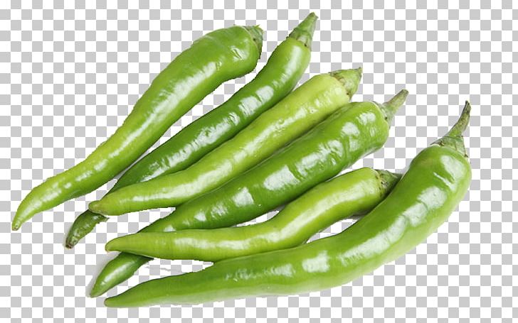 Birds Eye Chili Serrano Pepper Jalapexf1o Cayenne Pepper Bell Pepper PNG, Clipart, Blue, Cap, Chili Pepper, Food, Fruit Free PNG Download