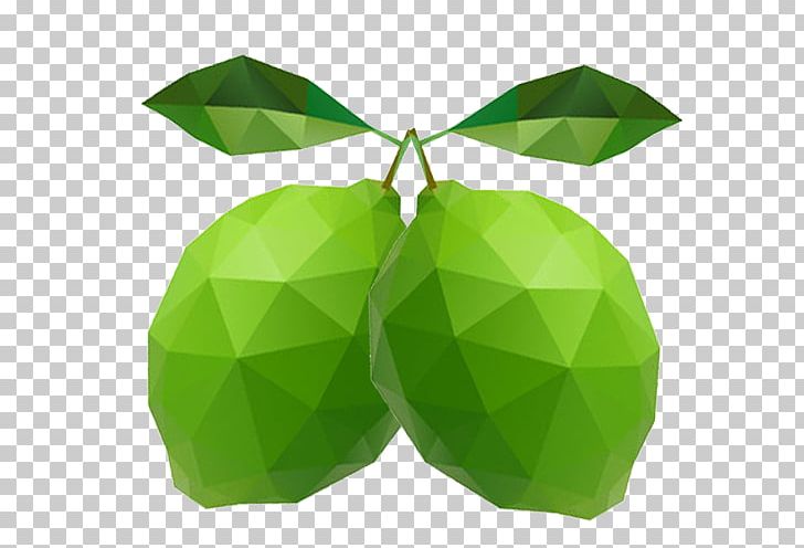 Leaf PNG, Clipart, Fruit Nut, Fruits, Gradient, Green, Leaf Free PNG Download