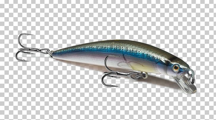 Sardine Spoon Lure Oily Fish Minnow Exempli Gratia PNG, Clipart, Bait, Exempli Gratia, Fish, Fishing Bait, Fishing Lure Free PNG Download