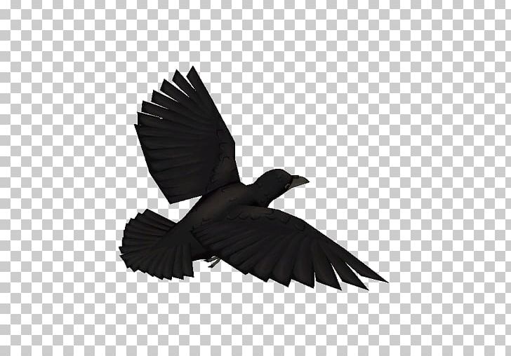 Team Fortress 2 Sleeping Dogs Counter-Strike: Global Offensive Steam Trade PNG, Clipart, American Crow, Beak, Bird, Black And White, Counterstrike Free PNG Download