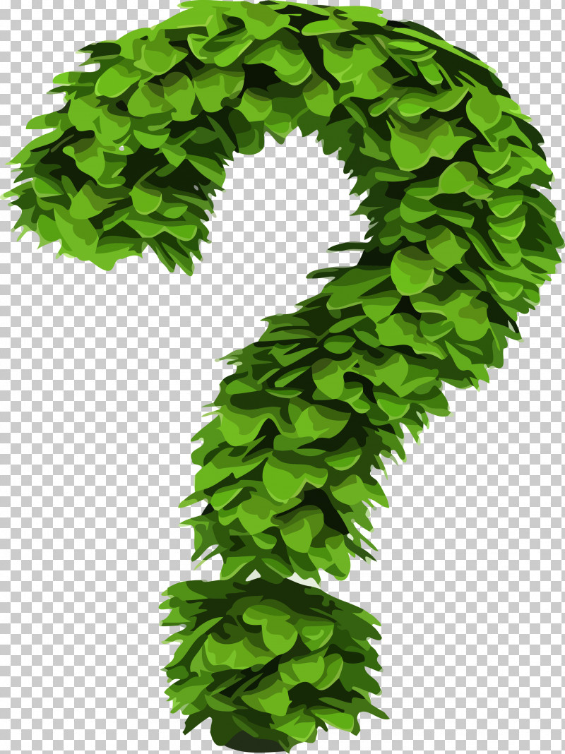 Leaf Green Plant Tree Grass PNG, Clipart, Cartoon, Flower, Grass, Green, Leaf Free PNG Download