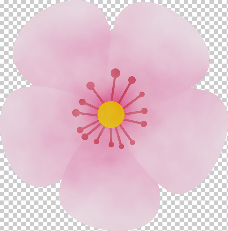 Petal Pink Flower Plant Wildflower PNG, Clipart, Cherry Flower, Floral, Flower, Paint, Perennial Plant Free PNG Download