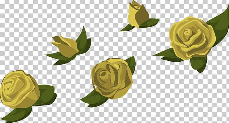 Beach Rose Flower Yellow Garden Roses PNG, Clipart, Beach Rose, Bud, Cut Flowers, Flower, Flowering Plant Free PNG Download
