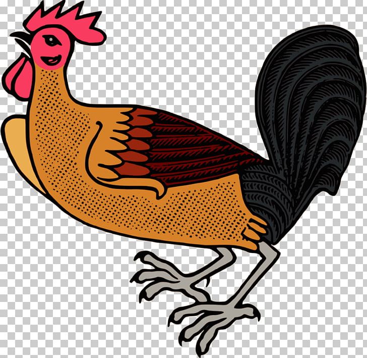 Chicken Rooster PNG, Clipart, Animals, Artwork, Beak, Bird, Cdr Free PNG Download