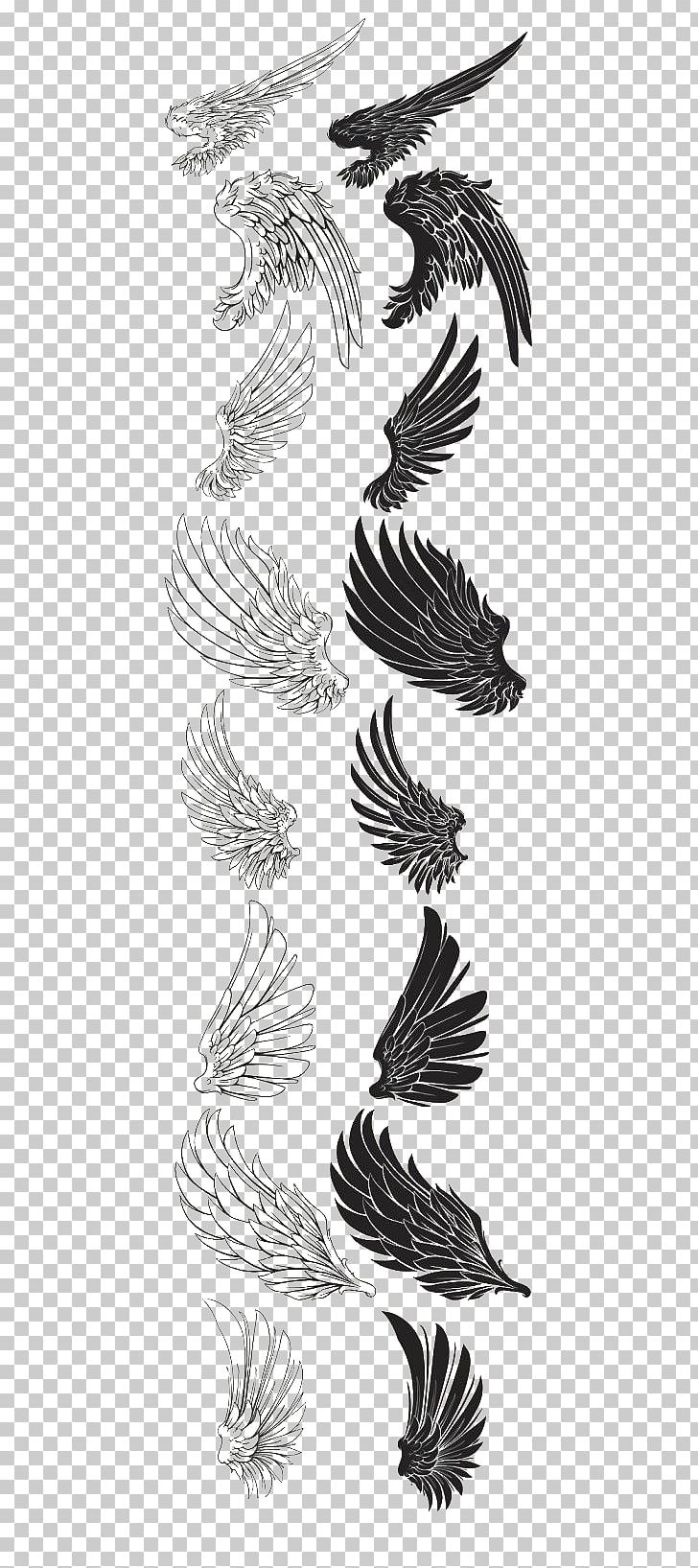 Drawing Brush Feather PNG, Clipart, Angel Wing, Angel Wings, Animal, Animal Brush, Animals Free PNG Download