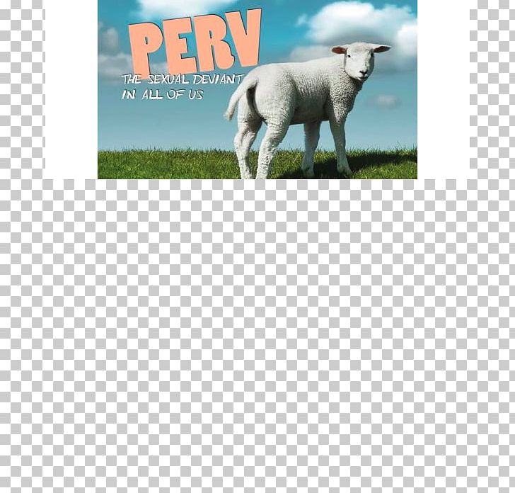 Sheep Simple Church Christian Church Eucharist PNG, Clipart, Advertising, Alphabet, Chevre, Christ, Christian Church Free PNG Download