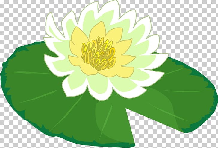 Water Lily Frog PNG, Clipart, Aquatic Plant, Blog, Clip Art, Daisy Family, Document Free PNG Download