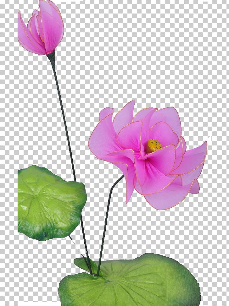 China Nelumbo Nucifera PNG, Clipart, Aquatic Plant, Artificial Flower, Chinese Style, Cyclamen, Download Free PNG Download