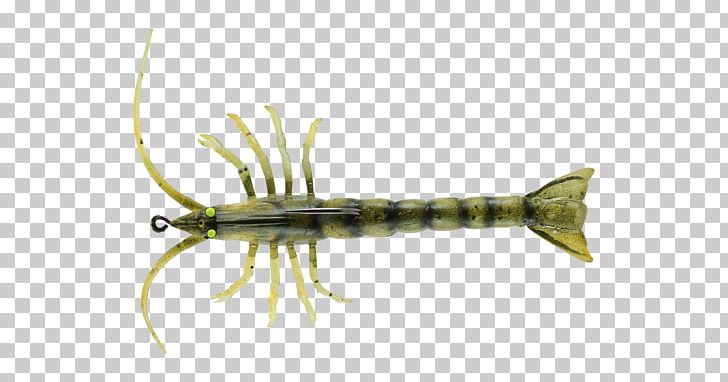 Fishing Baits & Lures Soft Plastic Bait Fish Hook PNG, Clipart, Angling, Animal Source Foods, Fauna, Fish, Fish Hook Free PNG Download