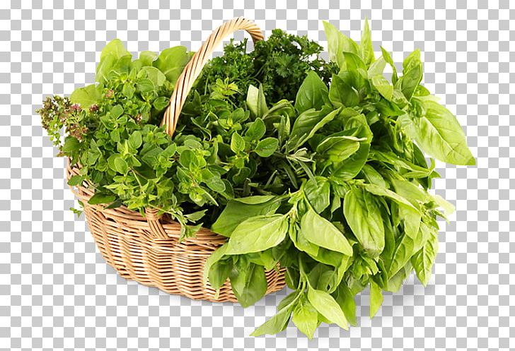 How To Grow Herbs Leaf Food Dill PNG, Clipart, Basil, Bay Leaf, Bouquet Garni, Condiment, Dill Free PNG Download