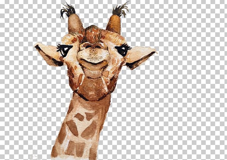 Northern Giraffe Drawing PNG, Clipart, Animal, Animals, Avatar, Download, Encapsulated Postscript Free PNG Download