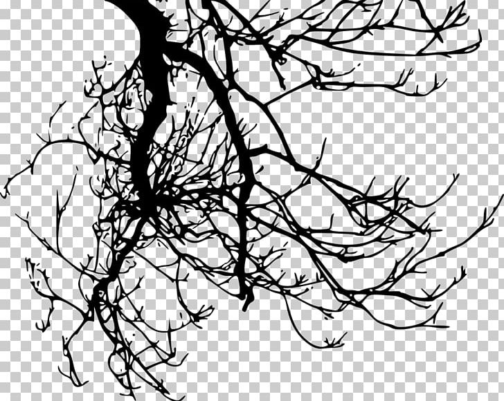 Twig Branch Tree PNG, Clipart, Artwork, Beak, Black And White, Branch, Branch Branches Circle Free PNG Download