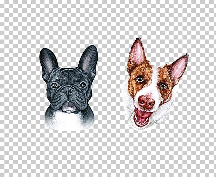 Boston Terrier French Bulldog Dog Breed PNG, Clipart, Animal, Animals, Boston Terrier, Brown, Bulldog Free PNG Download
