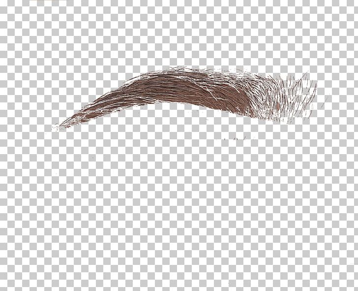 Eyebrow PNG, Clipart, Eyebrow, Eyelashes, Others Free PNG Download