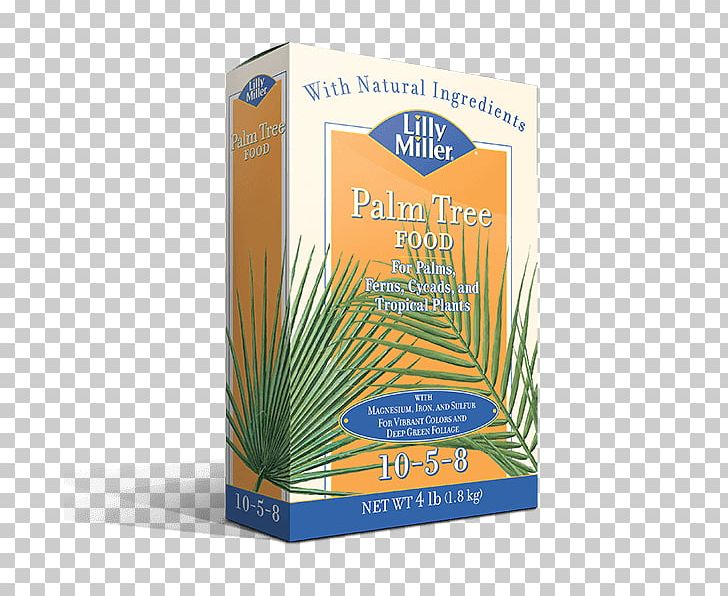 Food Plant Arecaceae Tree PNG, Clipart, Arecaceae, Food, Grass, Others, Plant Free PNG Download