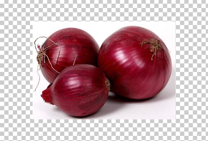 White Onion Red Onion Salsa PNG, Clipart, Beet, Beetroot, Christmas Ornament, Cranberry, Food Free PNG Download