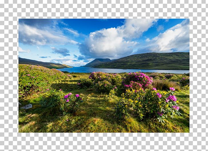 Wild Atlantic Way Leenaun Killary Harbour The Burren Inishowen PNG, Clipart, Cliffs Of Moher, Cloud, Connemara, Ecoregion, Ecosystem Free PNG Download