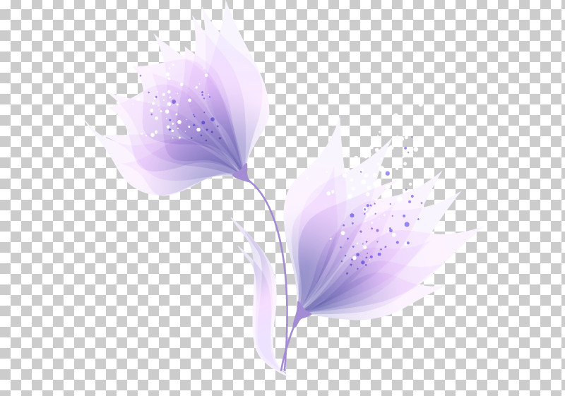 Feather PNG, Clipart, Crocus, Feather, Flower, Lilac, Morning Glory Free PNG Download