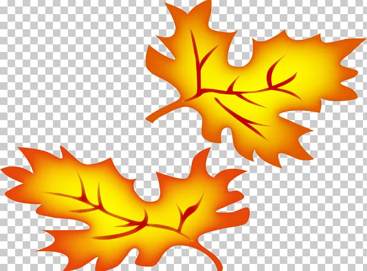 Autumn Leaf Color PNG, Clipart, Autumn, Autumn Leaf Color, Autumn Leaves Clipart, Color, Download Free PNG Download