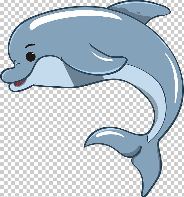 Common Bottlenose Dolphin Baby Dolphin: At Home In The Ocean PNG, Clipart, Animals, Beak, Bottlenose Dolphin, Child, Common Bottlenose Dolphin Free PNG Download