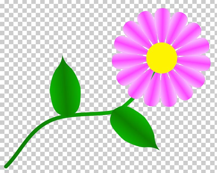 Flower Common Daisy Free Content PNG, Clipart, Artwork, Blog, Common Daisy, Daisy, Daisy Family Free PNG Download