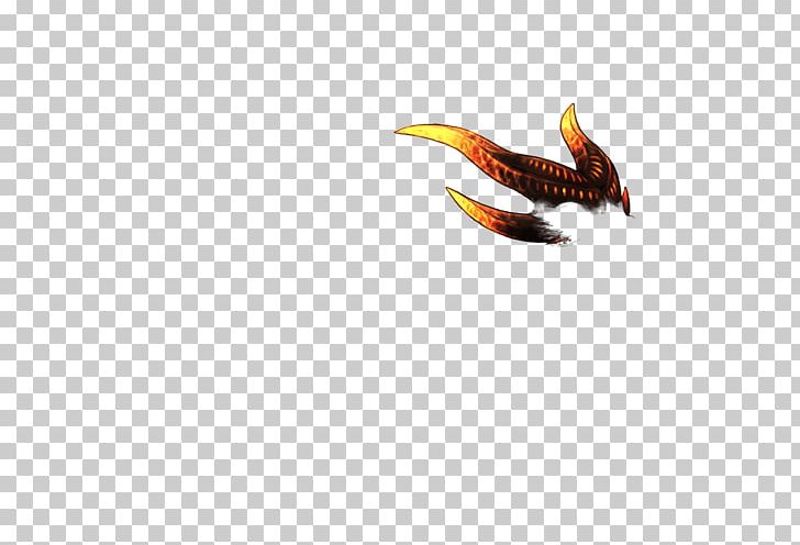 Insect Membrane PNG, Clipart, Animals, Beak, Insect, Invertebrate, Membrane Free PNG Download