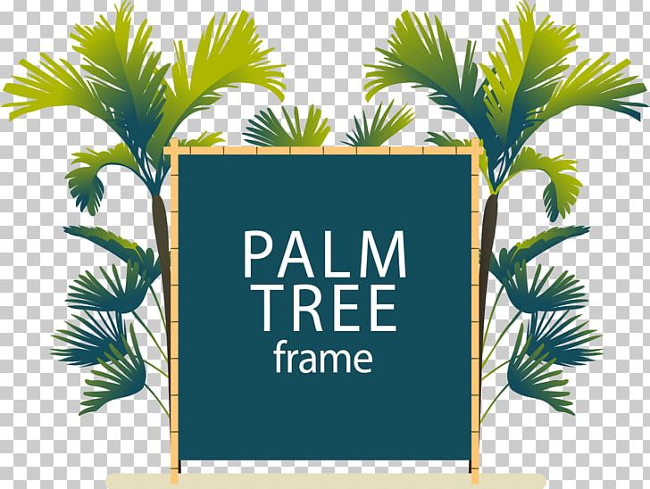 Date Palm Arecaceae Euclidean PNG, Clipart, Adobe Illustrator, Arecaceae, Arecales, Blackboard, Brand Free PNG Download