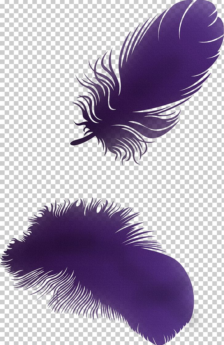 Feather PNG, Clipart, Angel Wing, Angel Wings, Animals, Animation, Bird Free PNG Download