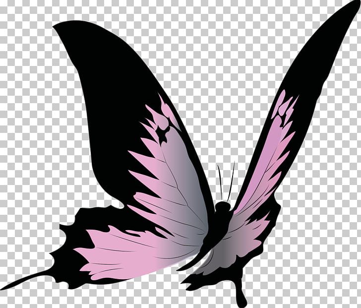 Butterfly Insect PNG, Clipart, Beak, Bird, Blue, Butterflies And Moths, Butterfly Free PNG Download