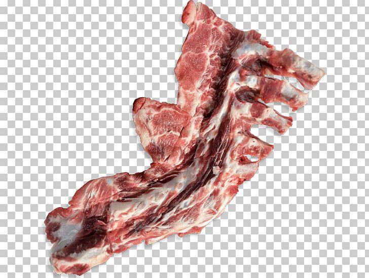 Capocollo Ham Bacon Pork Bone PNG, Clipart, Animal Fat, Animal Source Foods, Back Bacon, Bacon, Bayonne Ham Free PNG Download