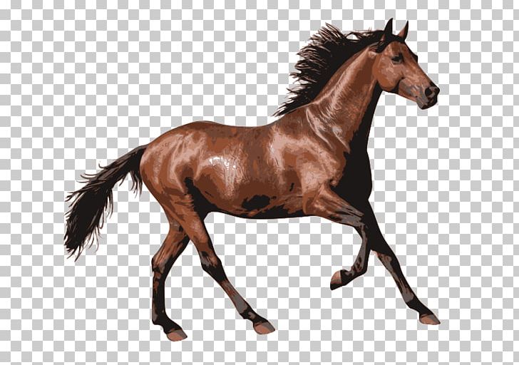 Horse Racing Computer Icons PNG, Clipart, Animal Figure, Animals, Appaloosa Spirit, Bridle, Colt Free PNG Download