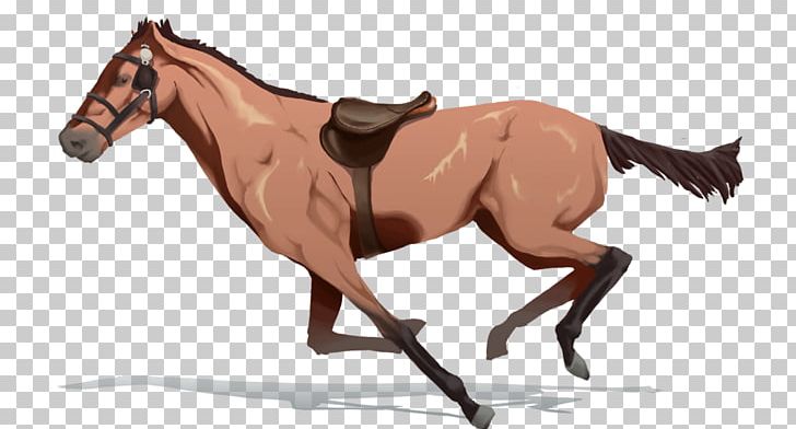 Mustang Pony Foal Stallion Mare PNG, Clipart, Animation, Deviantart, English Riding, Equestrian, Equestrian Sport Free PNG Download