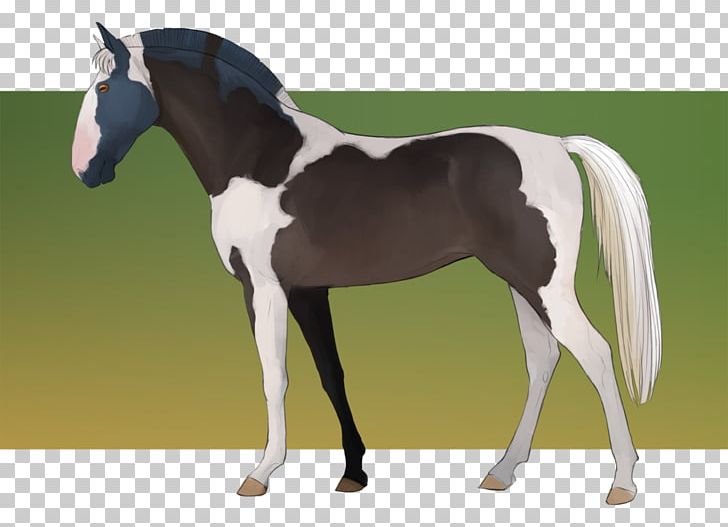 Stallion Mustang Foal Mare Colt PNG, Clipart, Bit, Bridle, Colt, Dog Harness, Foal Free PNG Download