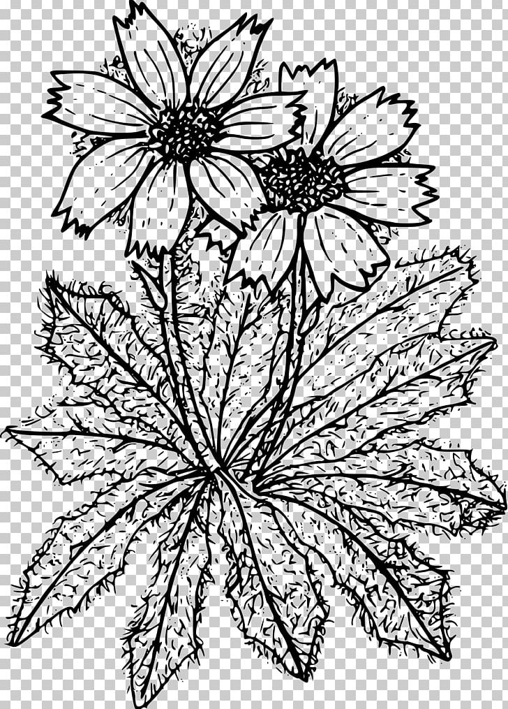 Coloring Book Drawing PNG, Clipart, Artwork, Black And White, Chrysanths, Color, Coloring Book Free PNG Download
