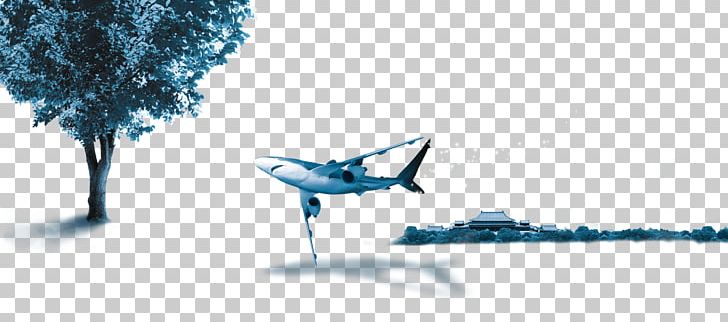 Aircraft Poster Blue Graphic Design PNG, Clipart, Advertising, Aircraft, Animals, Autumn Tree, Blue Free PNG Download