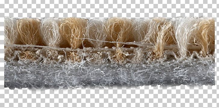 Berber Carpet Straw Rope Berbers PNG, Clipart, Berber Carpet, Berbers, Carpet, Furniture, Grass Free PNG Download