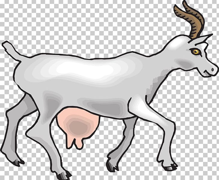 Boer Goat Cattle Animal PNG, Clipart, Animal, Animal Figure, Animals, Antelope, Artwork Free PNG Download