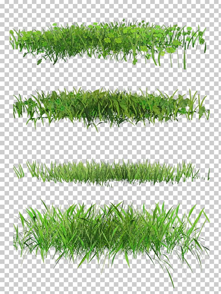 Lawn Desktop PNG, Clipart, Aquarium Decor, Desktop Wallpaper, Download, Encapsulated Postscript, Flower Free PNG Download