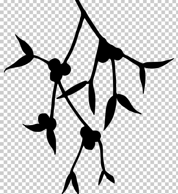 Mistletoe Silhouette PNG, Clipart, Angle, Animals, Artwork, Black, Black And White Free PNG Download