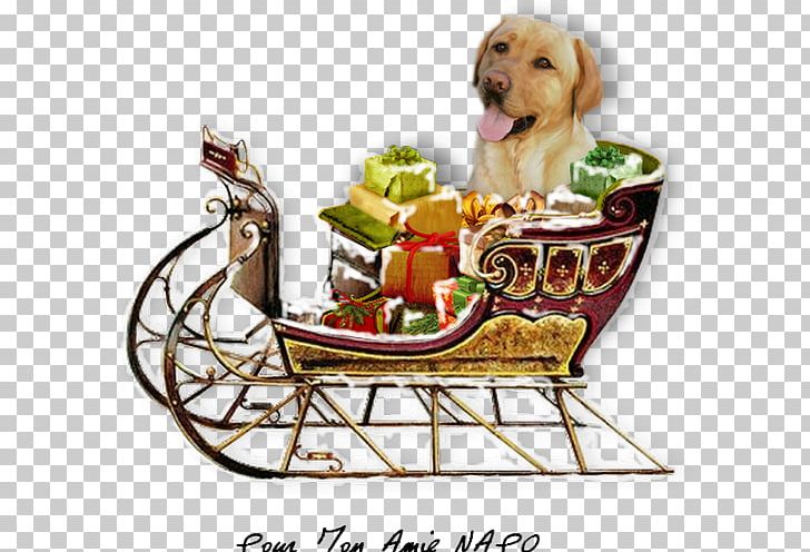 Dog Food Basket PNG, Clipart, Basket, Dog, Dog Like Mammal, Food Free PNG Download
