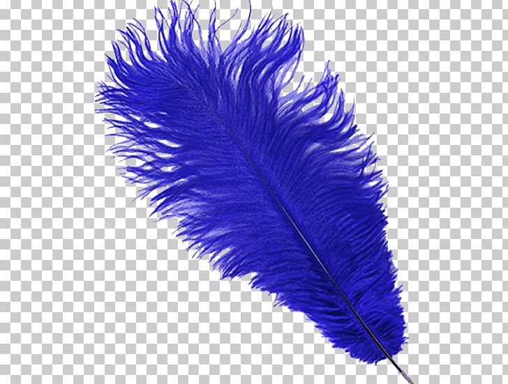 Feather Common Ostrich Goose Plume Tail PNG, Clipart, Animals, Beak, Cobalt Blue, Common Ostrich, Cursor Free PNG Download