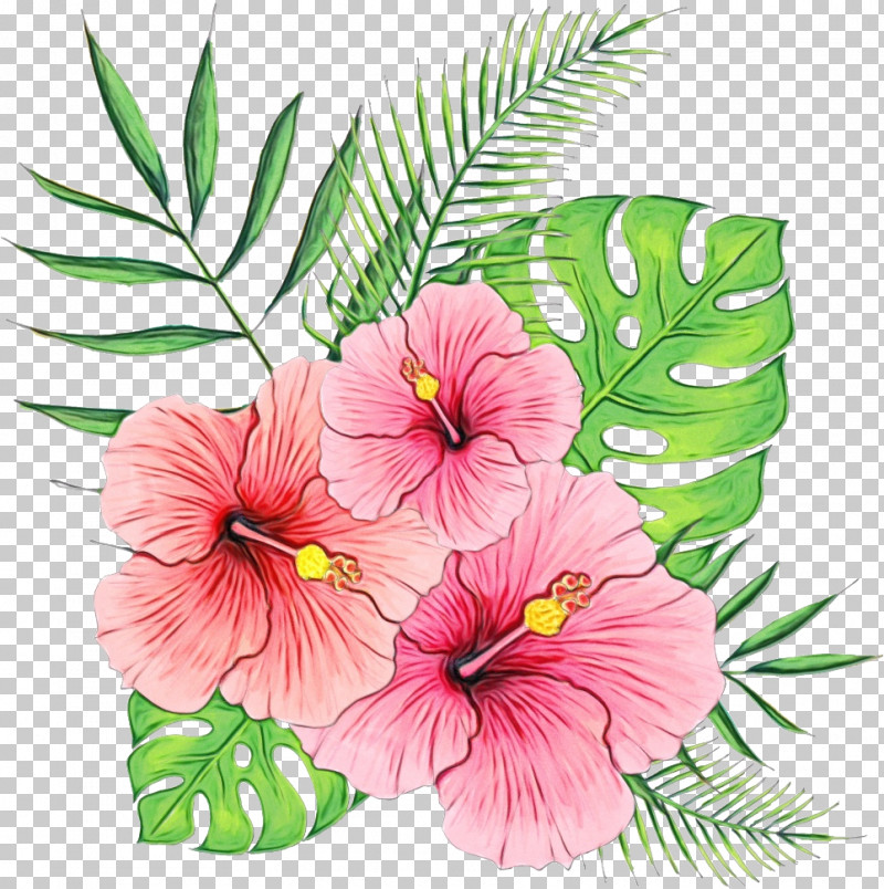Floral Design PNG, Clipart, Annual Plant, Biology, Floral Design, Herbaceous Plant, Paint Free PNG Download