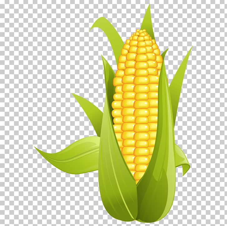 Corn On The Cob Maize Sweet Corn PNG, Clipart, Baogu, Cartoon, Cartoon Corn, Clip Art, Commodity Free PNG Download