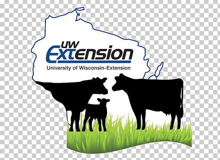 Dairy Cattle University Of Wisconsin–Extension Green Bay Manitowoc Fond Du Lac PNG, Clipart, Arborvitae, Area, Beef Cattle, Brand, Brown County Wisconsin Free PNG Download