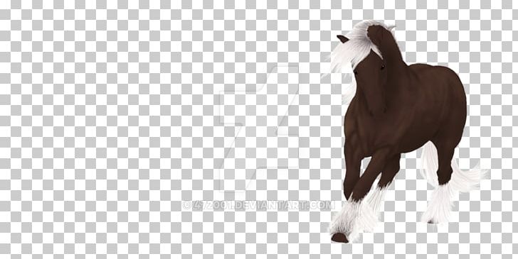 Mustang Foal Stallion Colt Mare PNG, Clipart, Colt, Foal, Gypsy Horse, Halter, Horse Free PNG Download