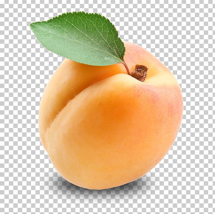 Apricot Fruit PNG, Clipart, Amygdalin, Apricot, Apricot Kernel, Banana, Canon Free PNG Download