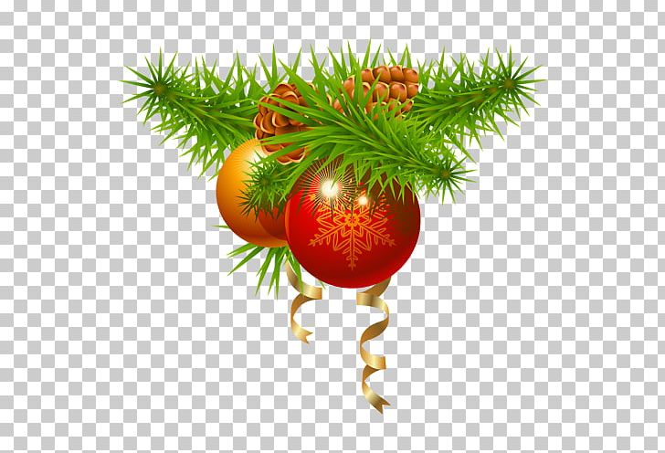 Christmas Decoration Christmas Ornament Christmas Tree PNG, Clipart, Branch, Chris, Christmas, Christmas And Holiday Season, Christmas Decoration Free PNG Download
