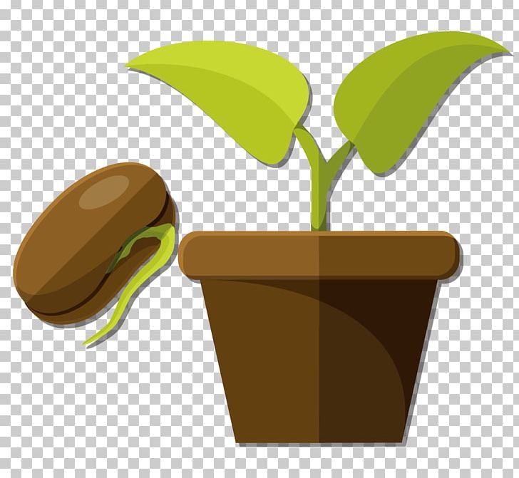 Snow Pea Flowerpot Seed PNG, Clipart, Encapsulated Postscript, Euclidean Vector, Germination, Happy Birthday Vector Images, Materials Free PNG Download